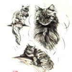 Dessins – Animaux_002 — Georges Roux
