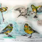 Dessins – Animaux_008 — Georges Roux