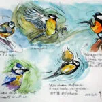 Dessins – Animaux_009 — Georges Roux