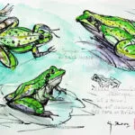 Dessins – Animaux_015 — Georges Roux