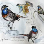 Dessins – Animaux_016 — Georges Roux