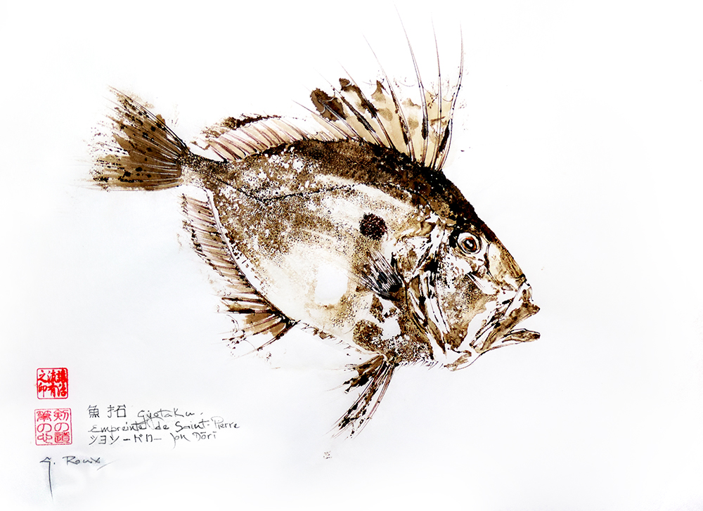 Collection de Gyotakus (empreintes de poissons traditionnelles japonaises) réalisée par l'artiste Georges Roux. Cette série présente diverses espèces comme la dorade, le baliste et le hareng, rehaussées de couleurs et d'annotations calligraphiées.