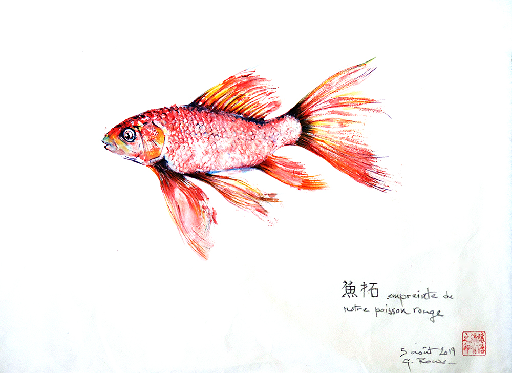 Collection de Gyotakus (empreintes de poissons traditionnelles japonaises) réalisée par l'artiste Georges Roux. Cette série présente diverses espèces comme la dorade, le baliste et le hareng, rehaussées de couleurs et d'annotations calligraphiées.