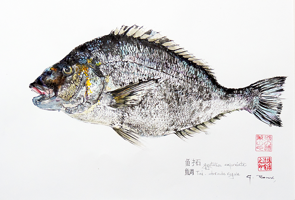 Collection de Gyotakus (empreintes de poissons traditionnelles japonaises) réalisée par l'artiste Georges Roux. Cette série présente diverses espèces comme la dorade, le baliste et le hareng, rehaussées de couleurs et d'annotations calligraphiées.