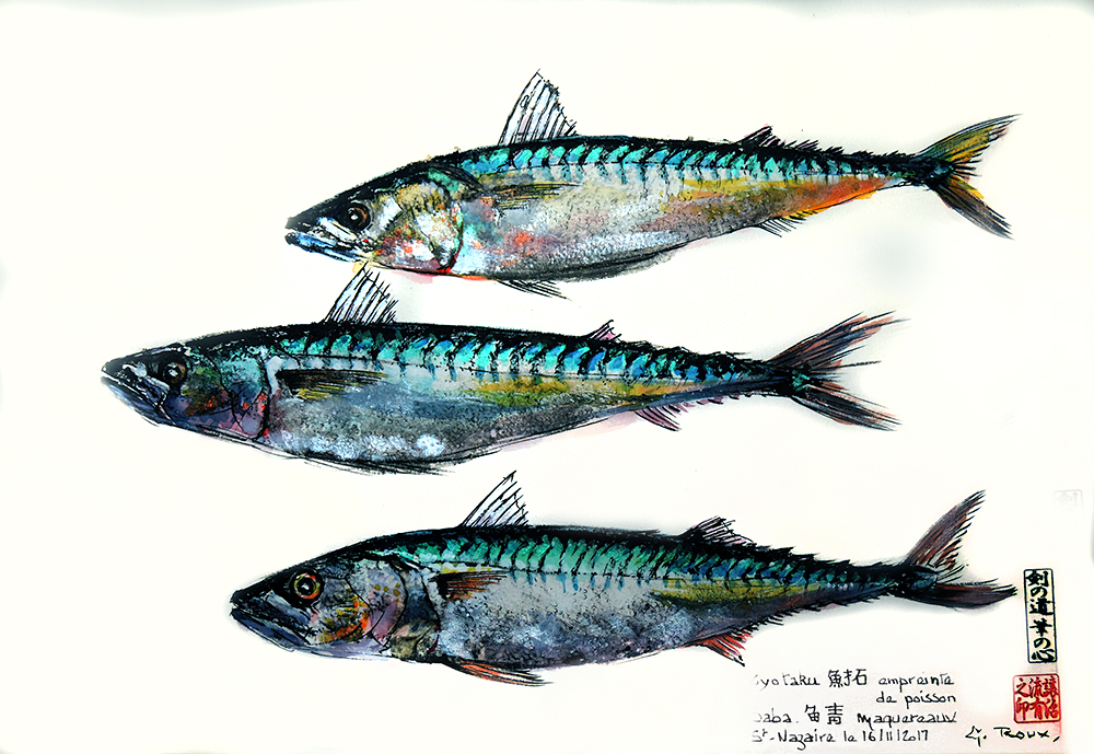 Collection de Gyotakus (empreintes de poissons traditionnelles japonaises) réalisée par l'artiste Georges Roux. Cette série présente diverses espèces comme la dorade, le baliste et le hareng, rehaussées de couleurs et d'annotations calligraphiées.