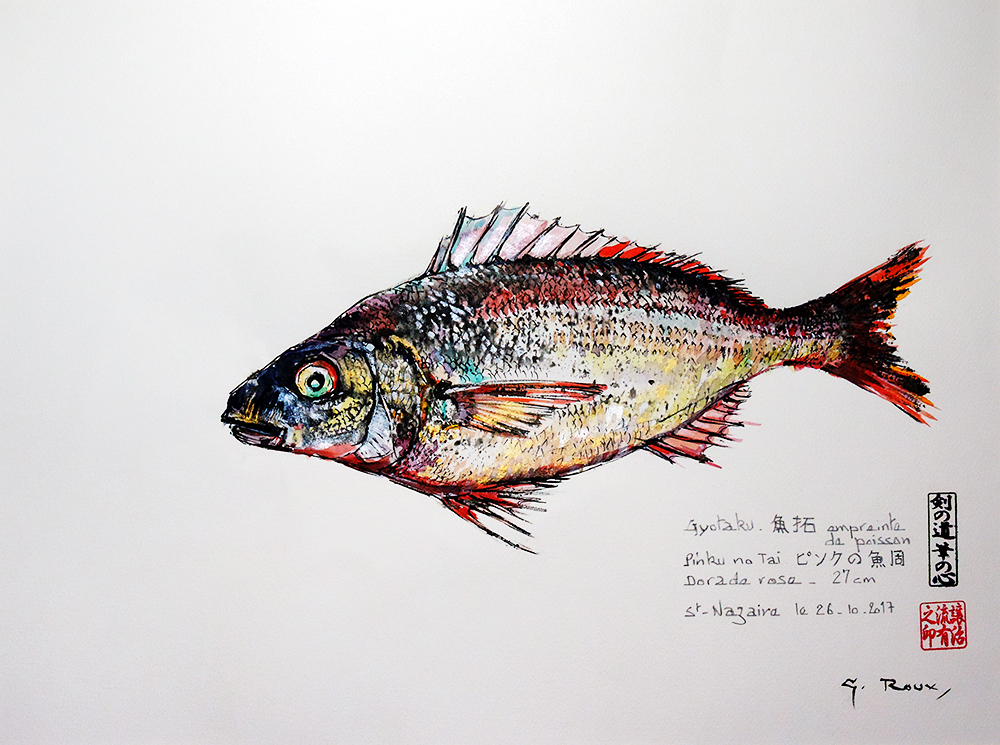 Collection de Gyotakus (empreintes de poissons traditionnelles japonaises) réalisée par l'artiste Georges Roux. Cette série présente diverses espèces comme la dorade, le baliste et le hareng, rehaussées de couleurs et d'annotations calligraphiées.