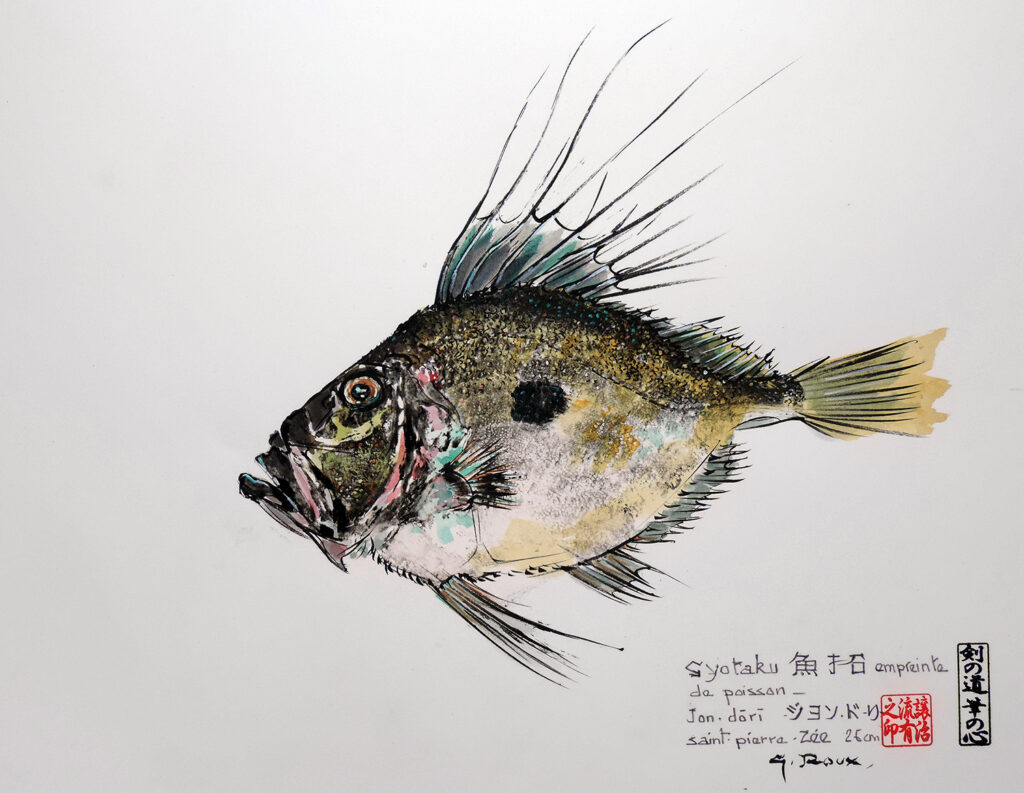 Collection de Gyotakus (empreintes de poissons traditionnelles japonaises) réalisée par l'artiste Georges Roux. Cette série présente diverses espèces comme la dorade, le baliste et le hareng, rehaussées de couleurs et d'annotations calligraphiées.
