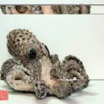 Raku – Animaux_001 — Georges Roux
